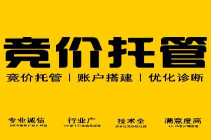 成功案例解析：SEM竞价托管助力企业品牌升级